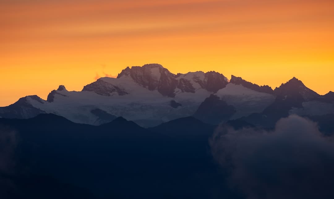 https://img3.utuku.imgcdc.com/650x0/news/20250804/a41618c0-8d2a-4758-a0fb-31f4c6b5f617.jpg